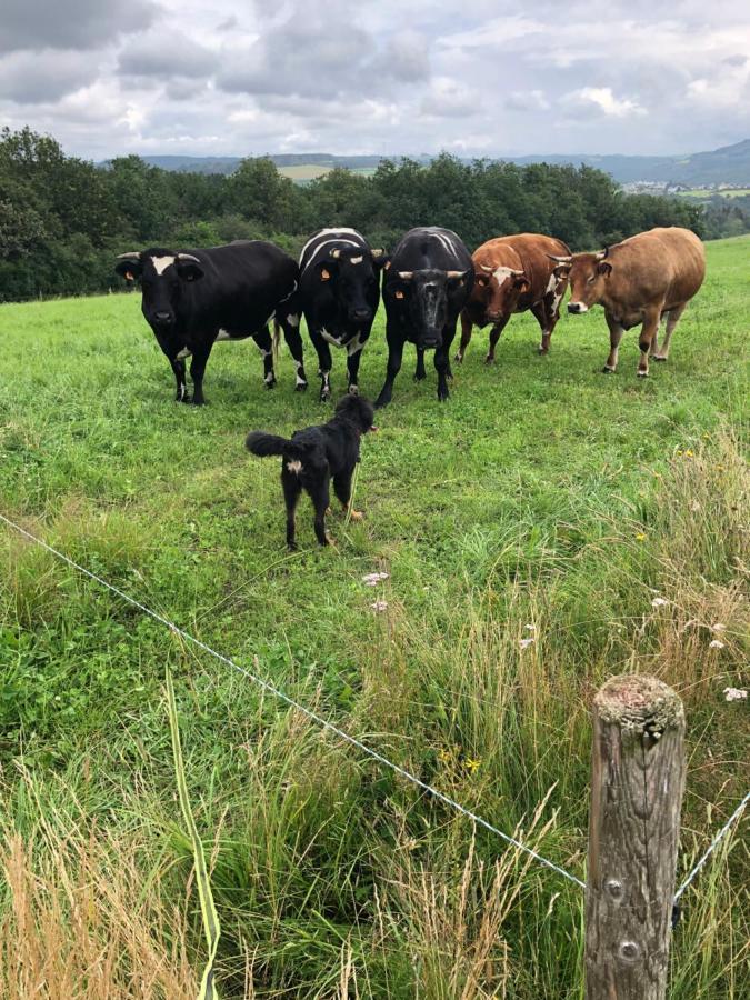 Appt. Aeischer Wilwerwiltz Buitenkant foto